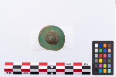 Foto von Bronzespinnrocken (NHMW-PRAE-035748)